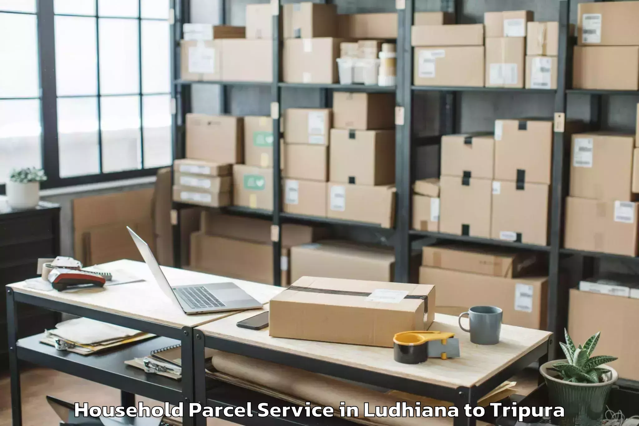 Book Ludhiana to Kailashahar Airport Ixh Household Parcel Online